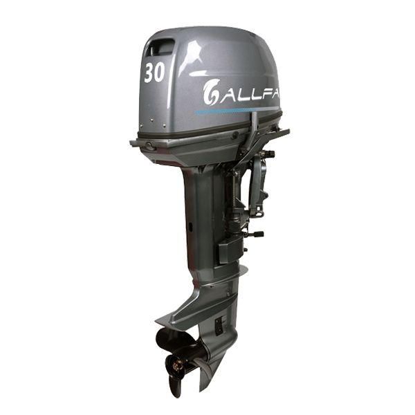 ALLFA CG Т30 FW S (30 л.с., 2 такта)